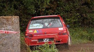 Rallye de la Haute Saône 2014 [upl. by Harbour]