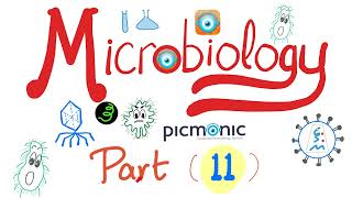 Microbiology with Picmonic  Shigella EHEC HUS Yersinia enterocolitica amp pestis  Part 11 [upl. by Fugate]