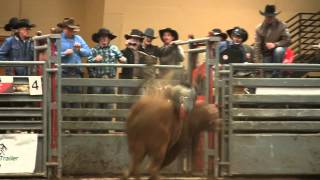 Bull of the Night CN Stars 73 Buck Wild clicks Kurt Shephards heels in Kalispell MT PBR 14 [upl. by Airbmak215]