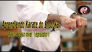 aprendiendo karate do shotokan nivel 1 episodio 1 [upl. by O'Toole]