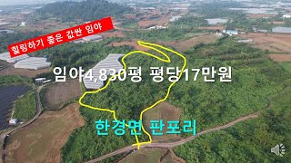 제주빠빠 건축가능한 ｜힐링하기 좋은 숲지대｜ 값싼 임야 ｜제주시 한경면 판포리 임야4830평 평당17만원 ☎ 01033185088 [upl. by Inat502]