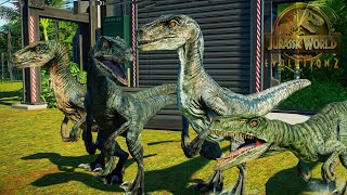 BLUE Y VELOCIRAPTOR DE JURASSIC WORLD los dinosaurios velociraptores Jurassic World Evolution 2 [upl. by Acinna]