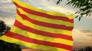 Flag and anthem of Catalonia [upl. by Enyehc]