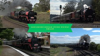 goulburn steam punk picnic train [upl. by Bellamy]