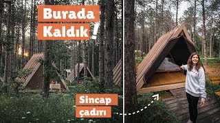 LÜKS KAMPTA SİNCAP ÇADIRDA KALDIK I İğneada Longosphere  Türkiyede Turist Olmak2 [upl. by Penland]