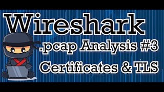 Wireshark class 43  How to analyze a packet capture Certificates amp TLS Encryption Troubleshooting [upl. by Hudson]