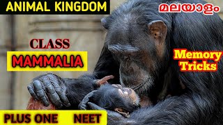 Class MammaliaAnimal kingdom of class 11 biologyNEET class in Malayalam [upl. by Alohcin705]