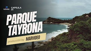 Parque Tayrona 2024 [upl. by Michaeu]