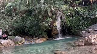 Exploring the Secret Waterfall in Tapovan Rishikesh – Hidden Paradise [upl. by Gnort572]