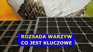 Co jest KLUCZOWE do Produkcji Dobrej Rozsady Warzyw Rozsada Ogórków Pomidorów Selera Pora Cebuli [upl. by Stanzel373]