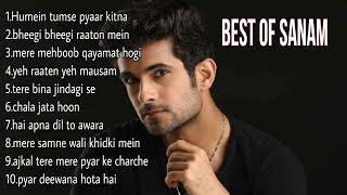 Best Of Sanam  Sanam Puri Song  Sanam Puri Best Bollywood Songs 2023 [upl. by Sirret]