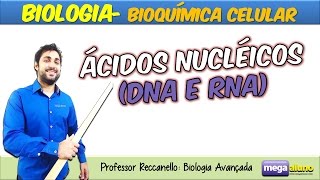 Ácidos Nucléicos DNA e RNA com dicas de memorização Material na descrição [upl. by Litton]