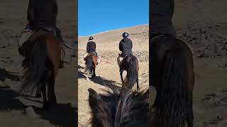 Reiten in der Mongoolei BestHorse Riding NatureLover HeartHorse Reiten MongolianHorse Морь [upl. by Neenej]