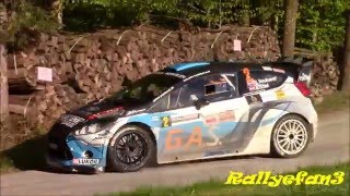 Wechselland Rallye 2016 ACTION AUSRUTSCHER PURE SOUND [upl. by Fabi604]