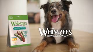 WHIMZEES by Wellness All Natural Dental Chews  Treat Them Well [upl. by Acinoj42]