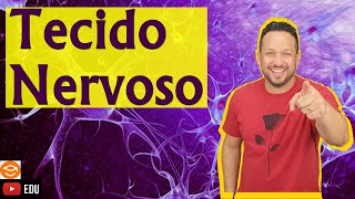 Tecido Nervoso  Características e Funções  Histologia Animal [upl. by Mame]