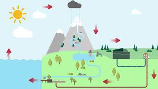 The Water Cycle explained [upl. by Ear]