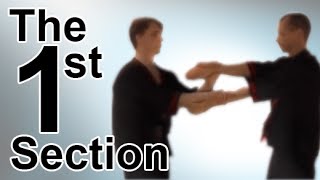 Wing Tsun 1st Chi Sau Section [upl. by Yort]