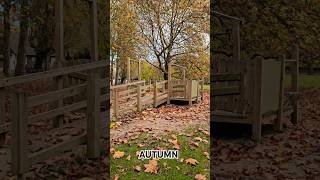 Autumn Ambience  Cozy Fall Atmosphere with Music [upl. by Alexei532]