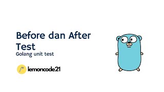 Golang Unit Test  Before After Test Part 5 [upl. by Amlez]