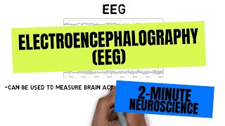 2Minute Neuroscience Electroencephalography EEG [upl. by Atikaj]