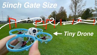 5inch Racetrack with a Tiny Whoop  Different Lipos  Meteor 75 Pro ButterflyFPV Edition [upl. by Llirpa]