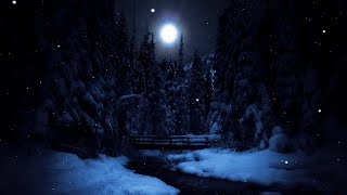 Owls hooting and a gentle stream flowing in the night [upl. by Horwitz763]