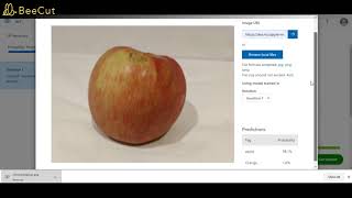 Image Classification using Custom Vision AI900 Lab 2 [upl. by Viguerie717]