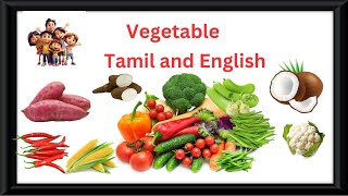 காய்கறிகள் பெயர்கள்vegetables names tamil and Englishaadhiabigvkids [upl. by Lolande]