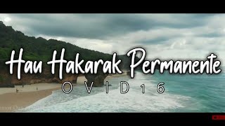 Hau Hakarak Permanente  Ovid16 Lyrics Terjemahan Musik Timor Leste [upl. by Magavern]