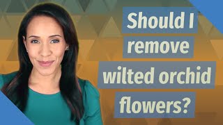 Should I remove wilted orchid flowers [upl. by Anawaj]