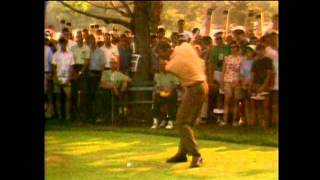 Arnold Palmer Golf Swing [upl. by Nnahtur]