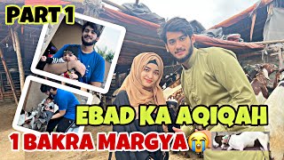 Part 1  Ebad Ka Aqiqah✨ 1 Bakra Margya 😭 Laiba Fatima with Ahmad vlogs [upl. by Adgam]