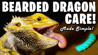 Bearded Dragon Care Made Simple [upl. by Alohs549]