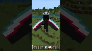 tiktok cape minecraft [upl. by Bollinger]