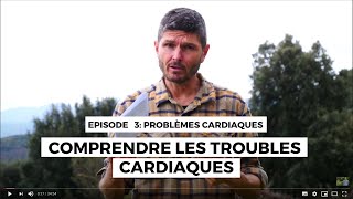 Problèmes cardiaques n°3  Comprendre les troubles cardiaques [upl. by Ayela511]