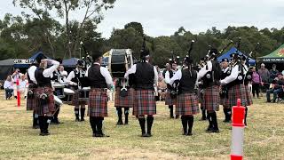 Albury Wodonga Pipes amp Drums MEDLEY Victorian Championships 2024 [upl. by Ilrebmik]