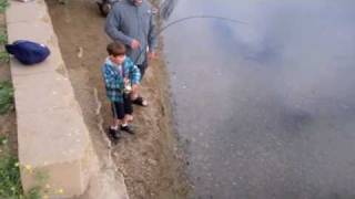 Poway Lake Fishing Carp and Catfish [upl. by Nagle556]