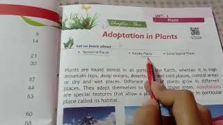 Adaptation in plants explanation of adaptation part1 chapter1 class 4th science [upl. by Helfand]