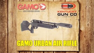 Gamo Urban Air Rifle Review [upl. by Mcafee]