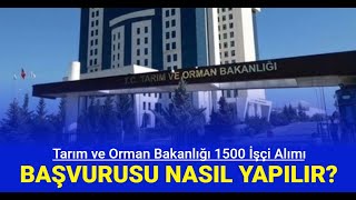 Tarım ve Orman Bakanlığı 1500 işçi alımı başvurusu nasıl yapılır İşte İŞKUR başvuru yolu 2024 [upl. by Arayk846]