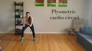 Plyometric Cardio Circuit [upl. by Gleeson]