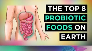 The BEST 8 PROBIOTIC Foods In The WORLD [upl. by Neeluj]