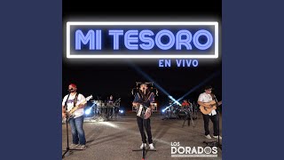 Mi Tesoro En Vivo [upl. by Robertson]