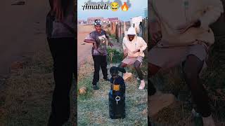 Amabele Amapiano amaentertainer sowetosfinest Hadiwele🔥🔥🕹 NewDancechallenge viralvideo [upl. by Zena]