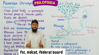 Psilopsida class 11  psilopsida characteristics class 11 [upl. by Valerle]