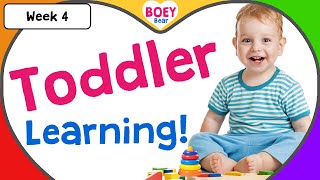 Educational Videos for Toddlers  2 year old 3 year old 4 year old Learning Videos with Boey Bear [upl. by Pessa396]