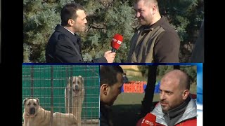 SivasKangalTV bozkangal kangal kangalköpekleri kangaldogs dog dogs doglover alabai [upl. by Atalayah939]