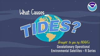 What Causes Tides [upl. by Aicekal]