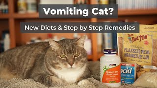 Cat Hairballs and Vomiting New Diets amp Step by Step Remedies [upl. by Atirb]